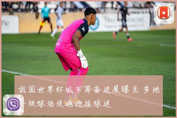 俄国世界杯城市筹备进展曝光 多地升级球场设施迎接球迷