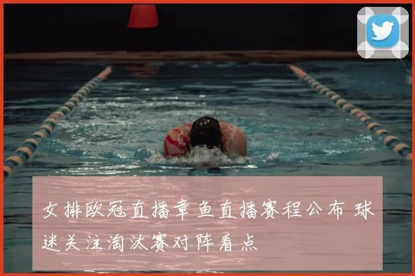 女排欧冠直播章鱼直播赛程公布 球迷关注淘汰赛对阵看点